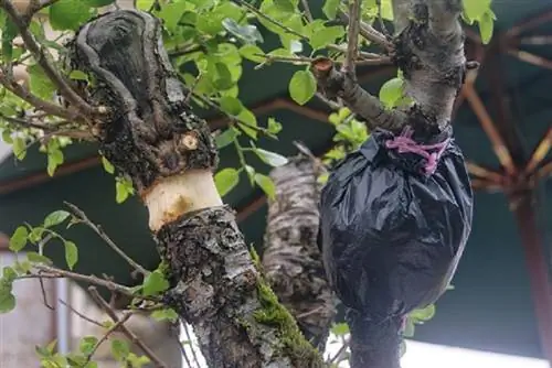 Что такое послойное распространение? Методы для слоев