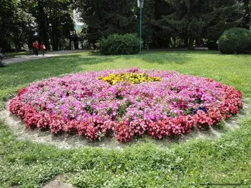 Как сделать клумбы здоровыми