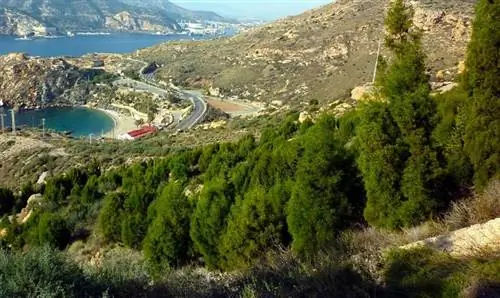 Ареал Картахенского кипариса
