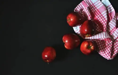 Известно, что яблоко Pink Cripps или Pink Lady является австралийским сортом. Известно, что яблоко Pink Cripps или Pink Lady является австралийским сортом.