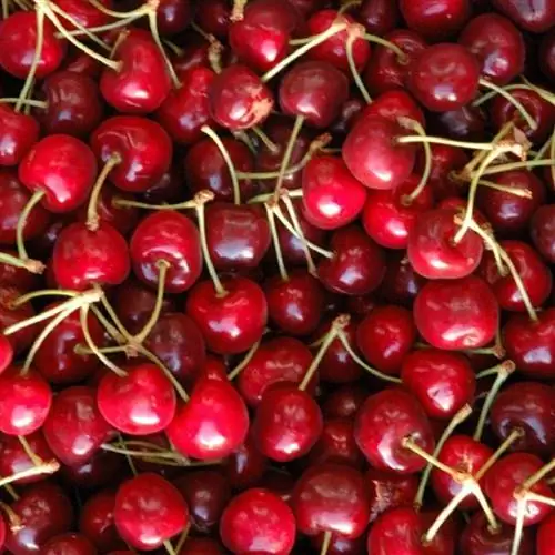 Характеристики Cherry Van