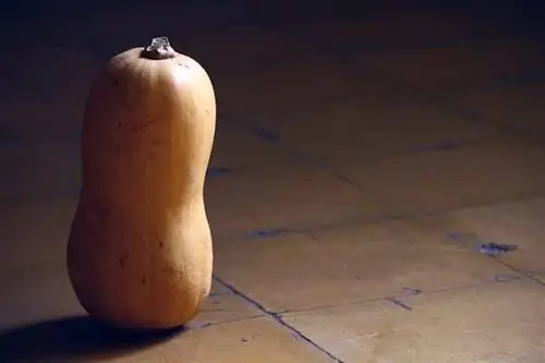 оранжевый сквош стоит вертикально на земле