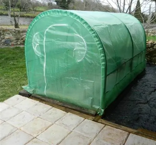 фруктовая теплица