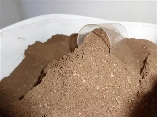 Удобрение в виде порошка гуано очень хорошо подходит для араукарии гетерофиллы.