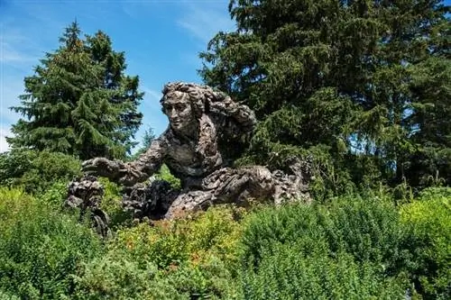 Изображение Ботанического сада Чикаго