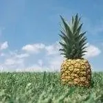 ананас это тропический фрукт