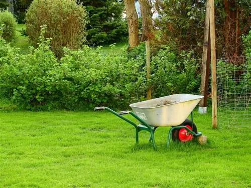 Сад - это всегда повод для радости, а может и нет?