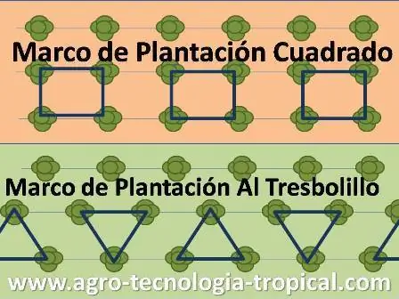 посадочные рамки