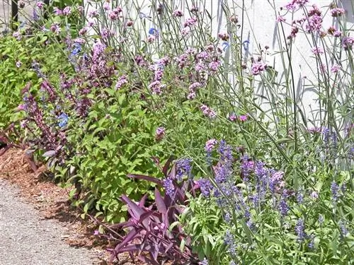 украшение фиолетовой вербеной