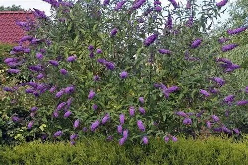 Украшение с кустом бабочки