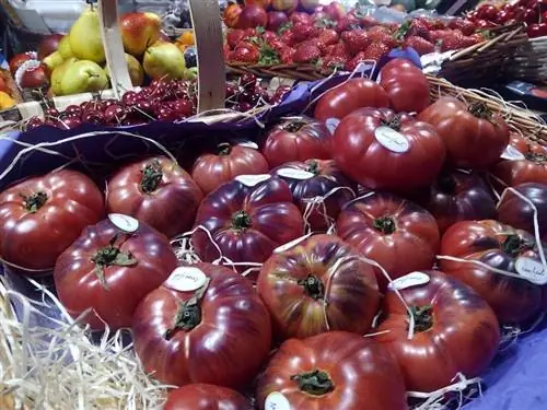 синие помидоры внутри коробки в супермаркете