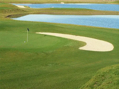 Иметь лужайку с Зойсей - хорошая идея