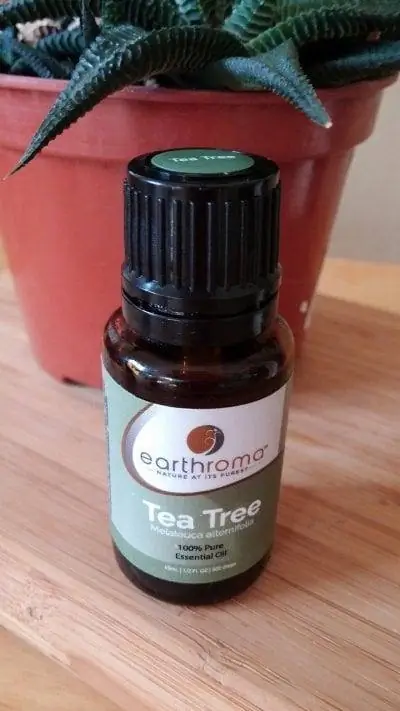 Продукт эфирного масла Melaleuca alternifolia