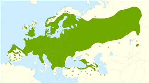 Распространение Frangula alnus