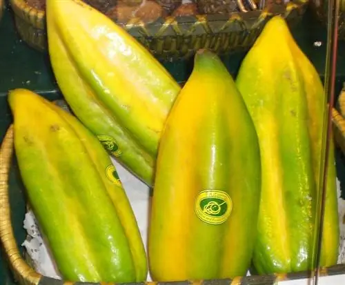 фута желтоватого цвета под названием Бабако