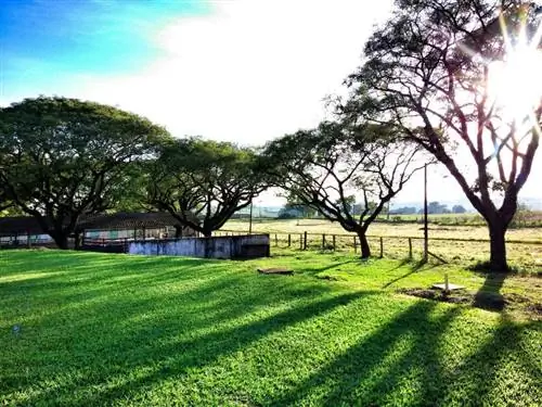 Важно, где солнце всегда