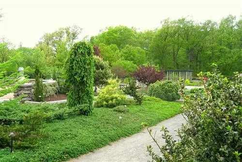 7 советов по уходу за садом