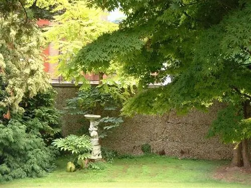 Английский сад - чудо природы