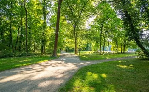 Английские сады должны быть естественными