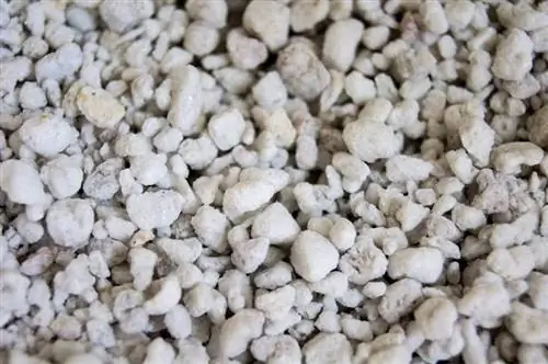 перлит в садоводстве