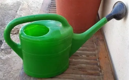 Лейка