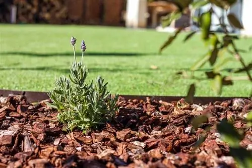 сосновая кора в саду