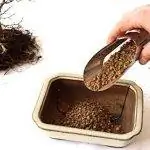 Акадама - это гранулированный субстрат.