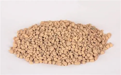 Кирюзуна Субстрат