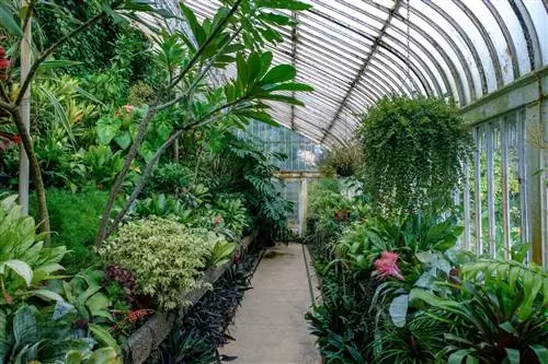 Теплицы - это места, которые защищают растения от холода.