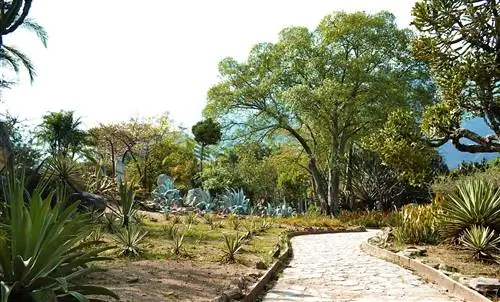 Ксеросад - это сад с минимальным уходом.