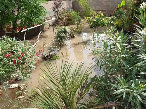 Избыток воды от дождя в саду вызывает проблемы