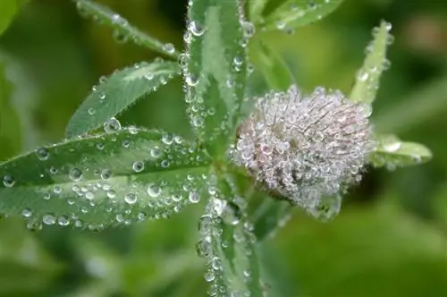 Слишком сильный дождь может вызвать проблемы