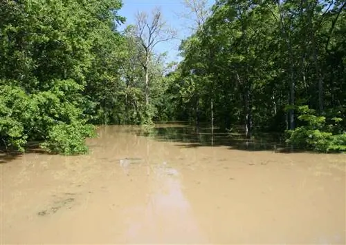 Избыток воды от дождя наносит серьезный ущерб