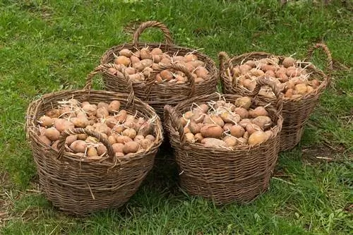 картина картина
