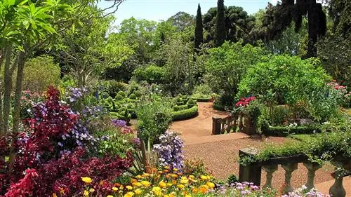 Сад полон сосудистых растений