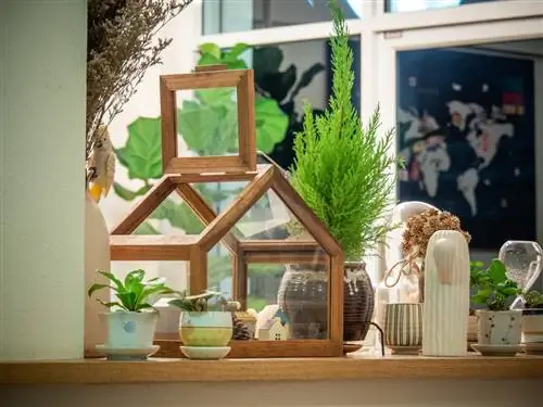 Растения растут, но вы можете предотвратить их слишком большой рост