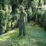 Из топиариев можно создавать человеческие фигуры.