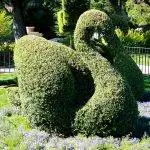 Создавайте фигурки животных из растений