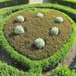 Создавайте красивые топиарные фигурки