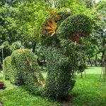 Из топиариев можно сделать драконов.