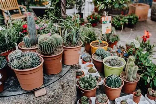 Вы можете создать красивый горшечный сад на своей террасе.