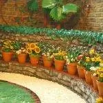 Вид на контейнерный сад