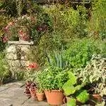 Создайте красивый контейнерный сад