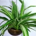 просмотр ленты