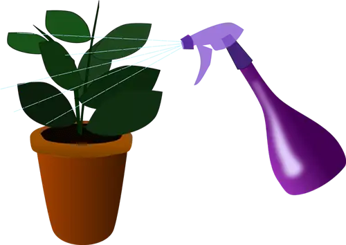 Не опрыскивайте растения часто