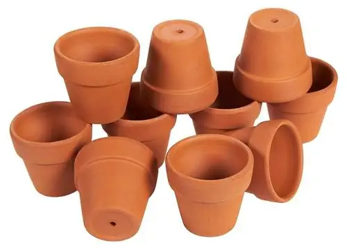 Посев семян в маленькие горшочки