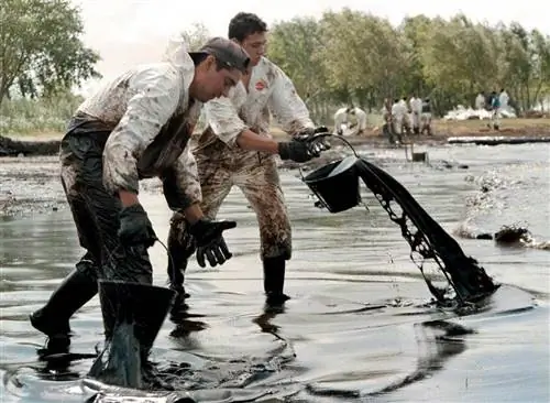 загрязнение окружающей среды