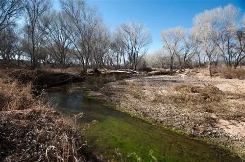 Чрезмерная эксплуатация