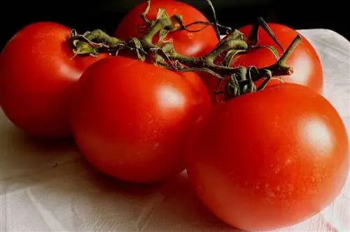 Помидоры вкусные