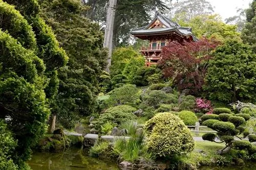 В японском саду есть растения всех видов